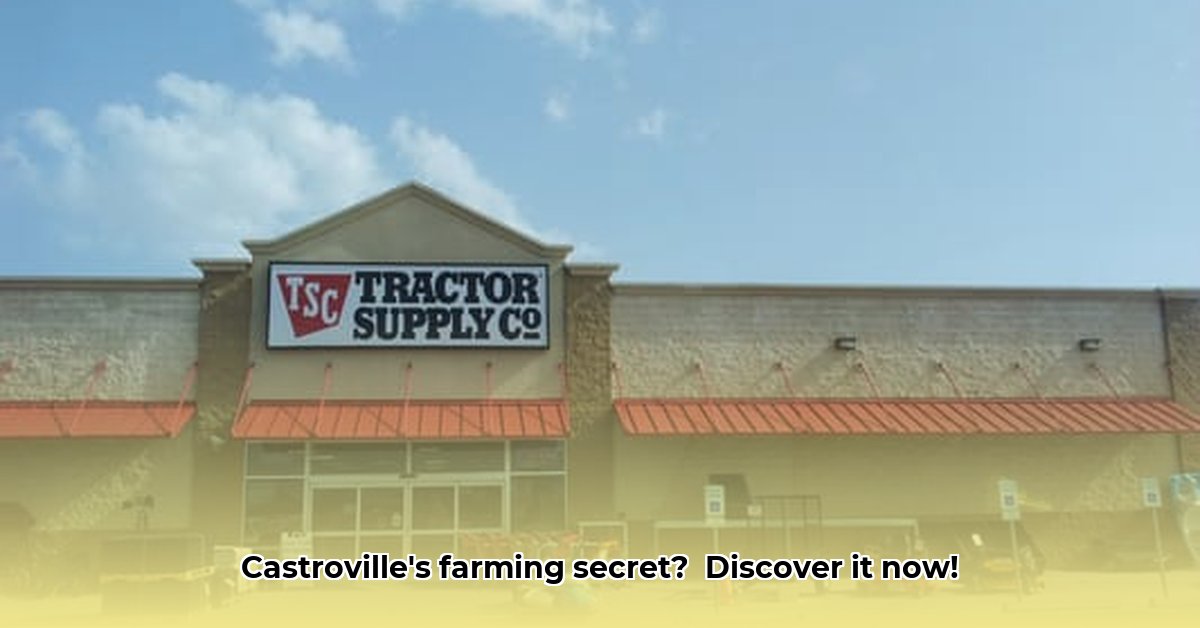 tractor-supply-castroville-tx